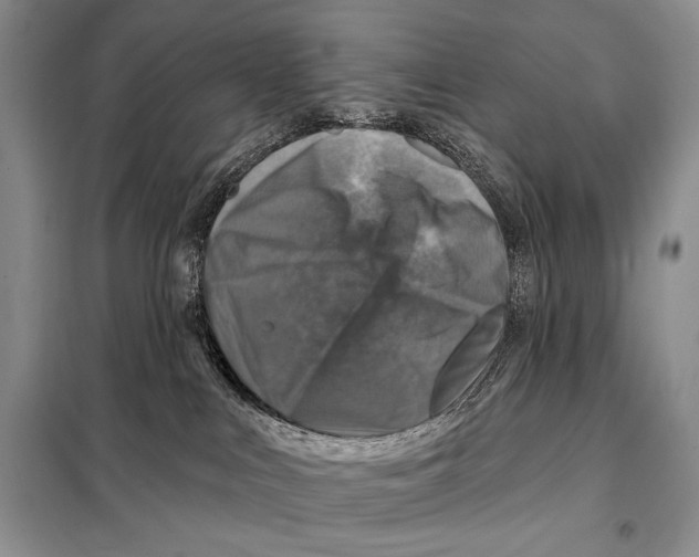 X0000098070043200805021008