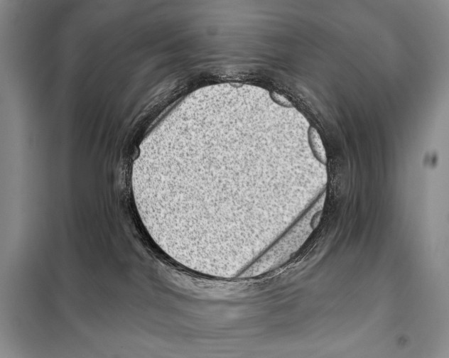 X0000098070044200805021008