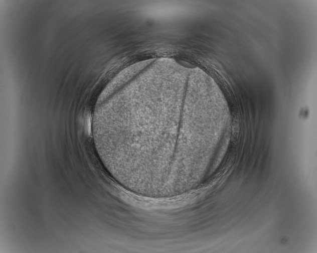 X0000098070046200805021008