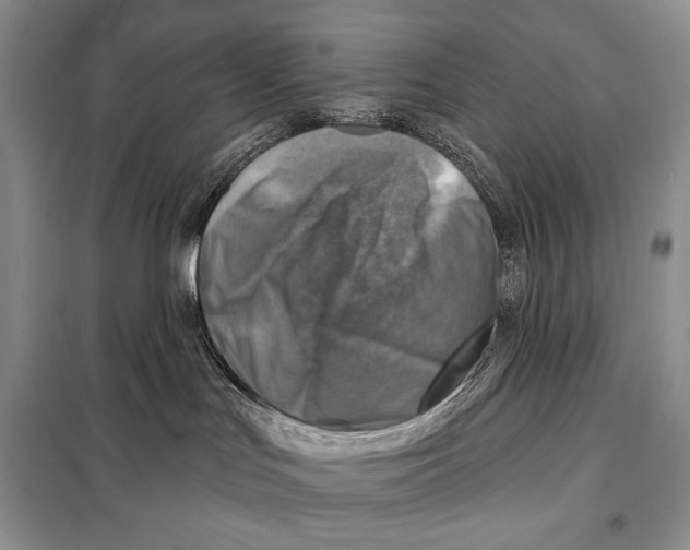 X0000098070047200805021008