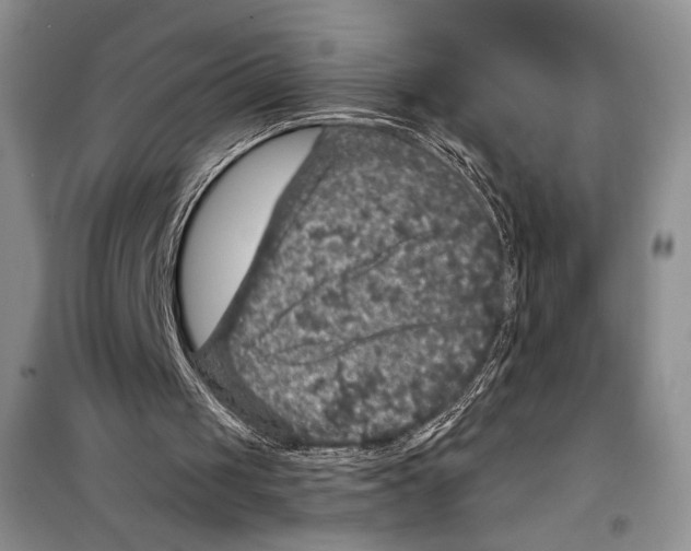 X0000098070049200805021007