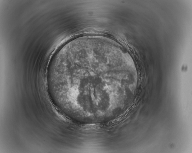 X0000098070050200805021007