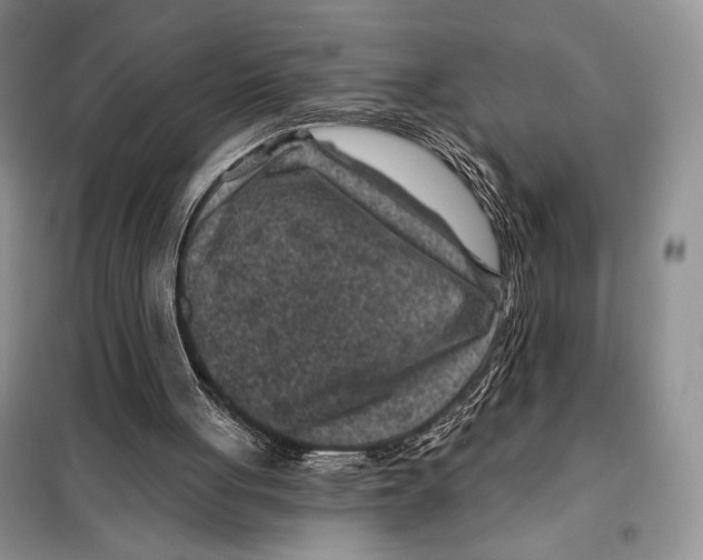 X0000098070051200805021007