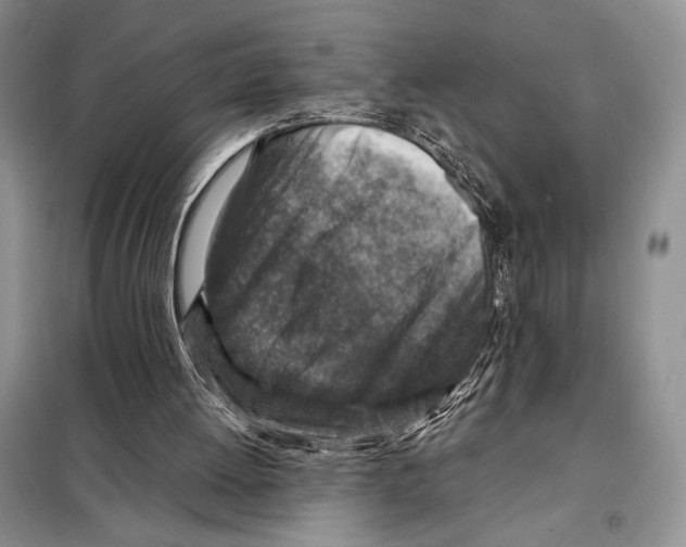 X0000098070052200805021007