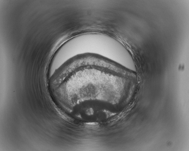 X0000098070053200805021007