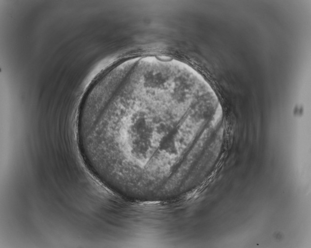 X0000098070054200805021007