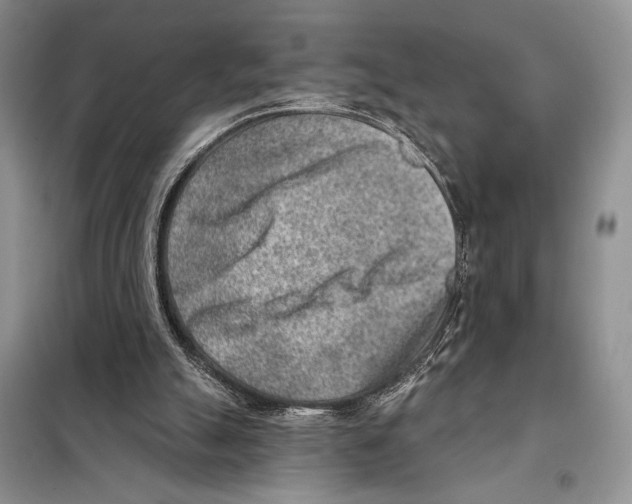 X0000098070055200805021007