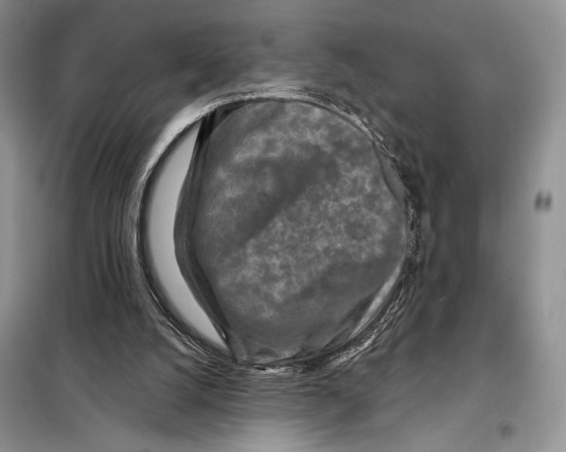 X0000098070056200805021007