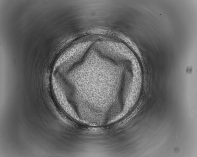 X0000098070057200805021007