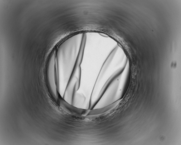 X0000098070060200805021007