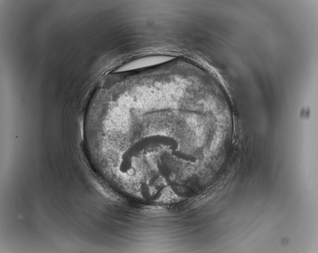 X0000098070061200805021007