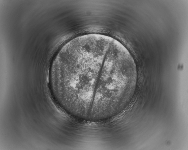 X0000098070062200805021007