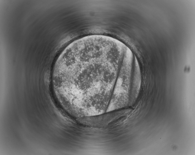 X0000098070063200805021008