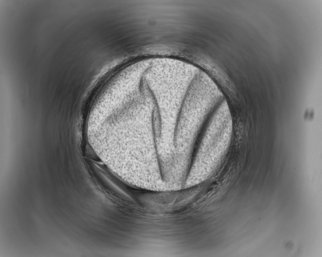 X0000098070064200805021008