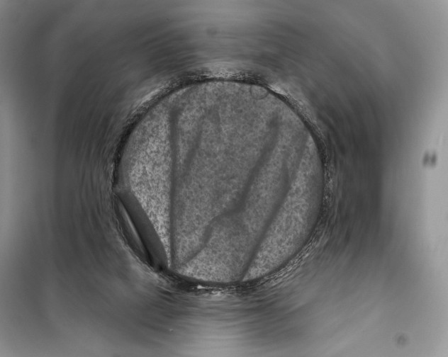 X0000098070066200805021008