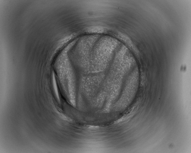 X0000098070068200805021008