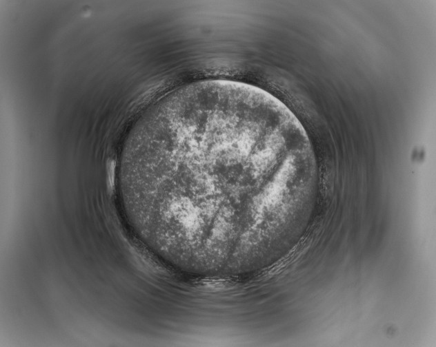 X0000098070070200805021008