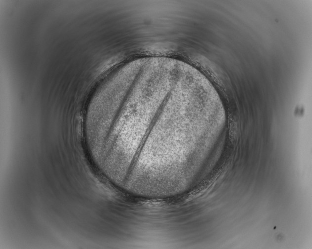 X0000098070071200805021008