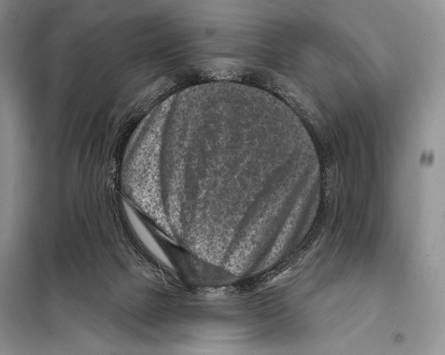 X0000098070073200805021008