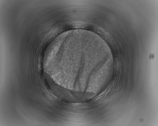 X0000098070074200805021008