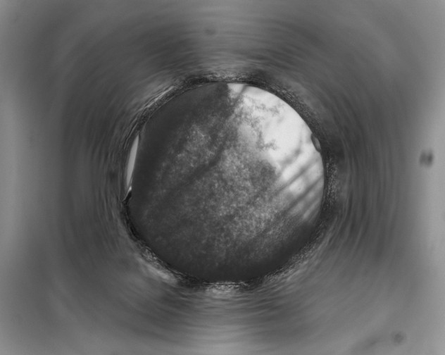 X0000098070076200805021008