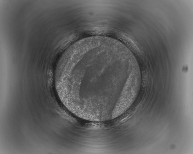 X0000098070077200805021008