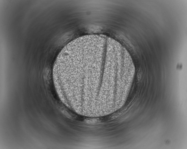 X0000098070079200805021008