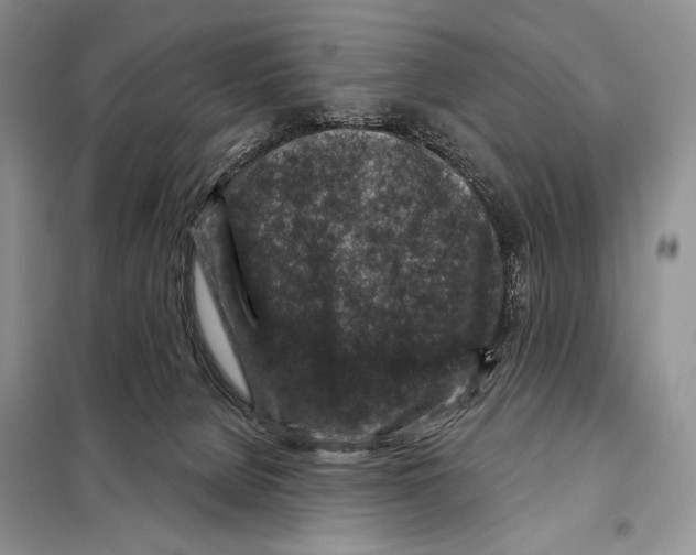 X0000098070080200805021008