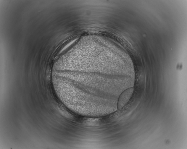 X0000098070081200805021008