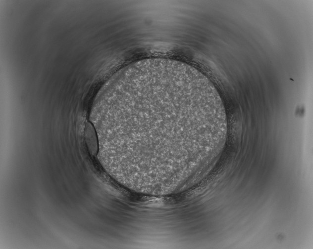 X0000098070083200805021008