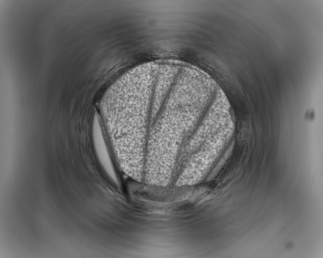 X0000098070084200805021008