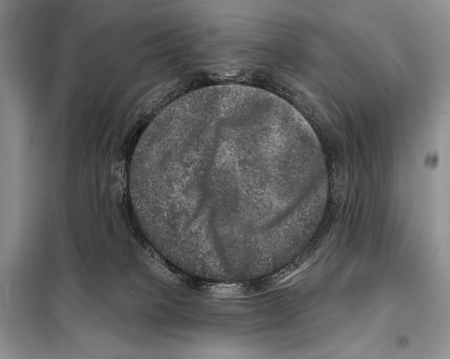 X0000098070085200805021008