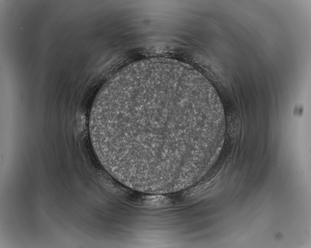 X0000098070087200805021008