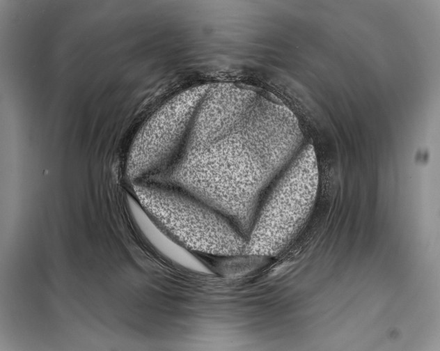 X0000098070088200805021008