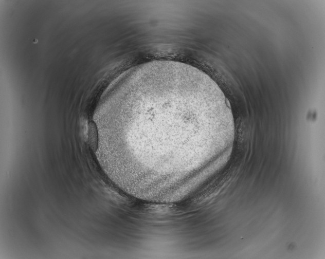 X0000098070089200805021008