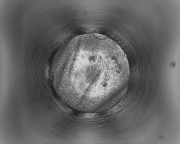 X0000098070090200805021008