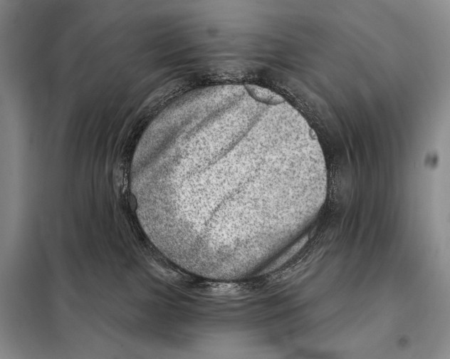 X0000098070091200805021008