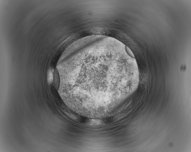 X0000098070095200805021008