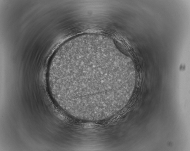 X0000098070098200805021007