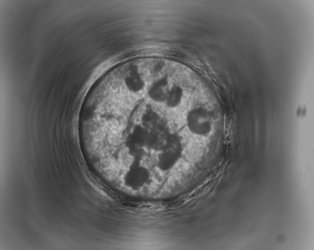 X0000098070099200805021007