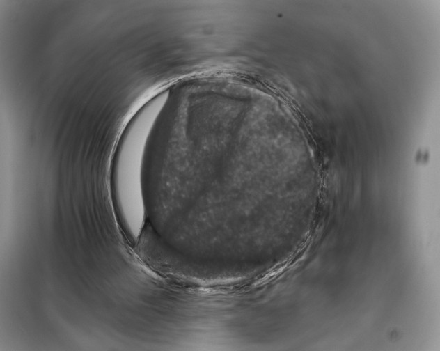 X0000098070100200805021007