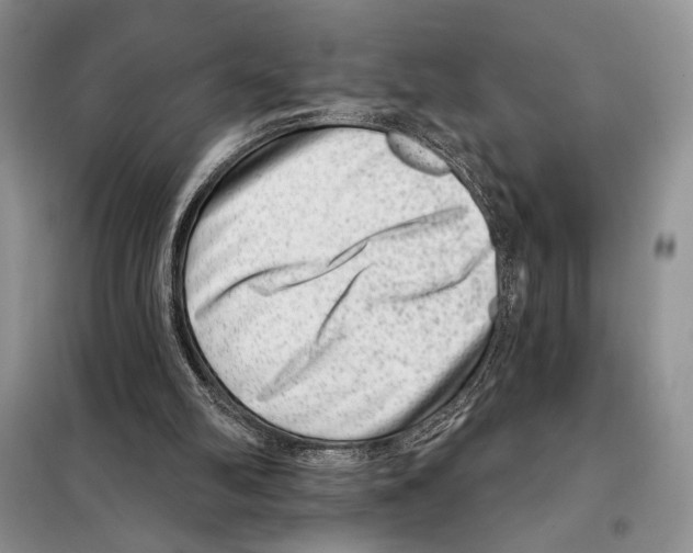 X0000098070102200805021007