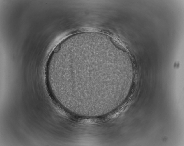 X0000098070103200805021007