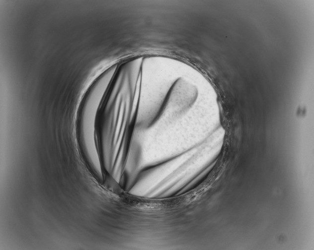 X0000098070104200805021007