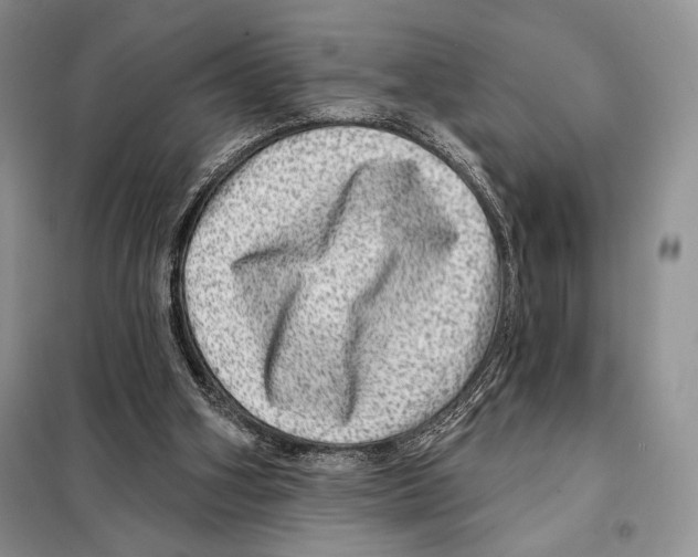 X0000098070106200805021007