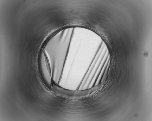 X0000098070108200805021007