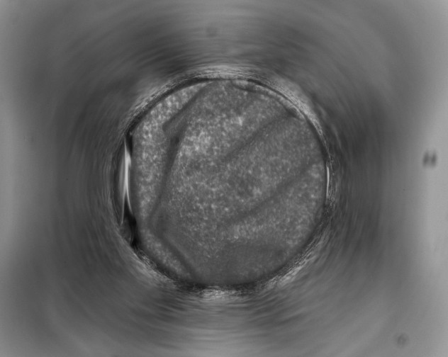 X0000098070109200805021007