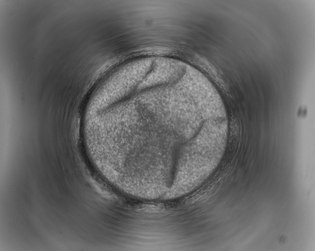 X0000098070110200805021007