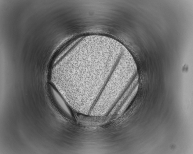 X0000098070112200805021007