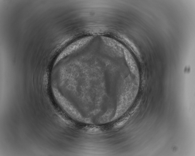 X0000098070113200805021007